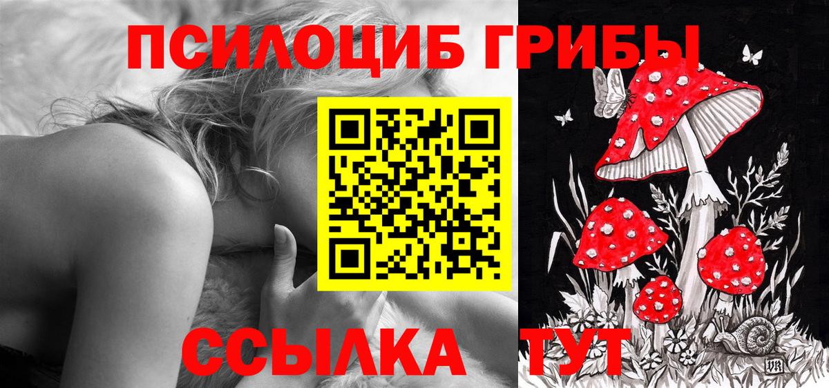 Галлюциногенные грибы Cubensis Мирный