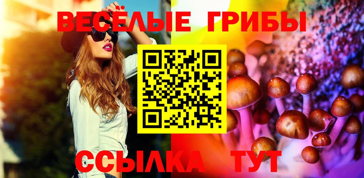 Псилоцибиновые грибы мухоморы  Галлюциногенные грибы Cubensis  Мирный  Вход с VPN 